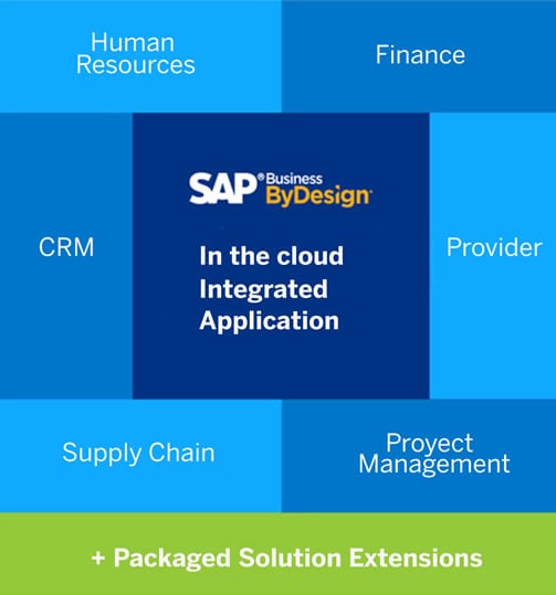 SAP BUSINESS BYDESIGN MODULES.