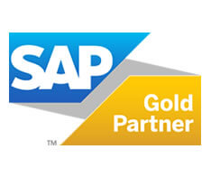 Dintec sap partner