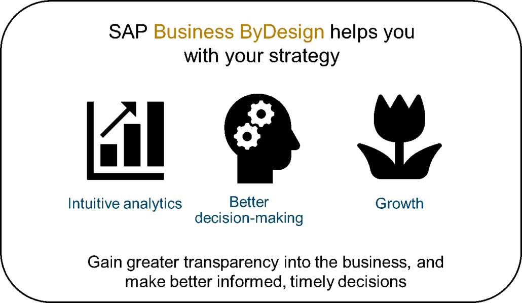 sap business