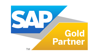 Dintec sap partner Dintec sap partner